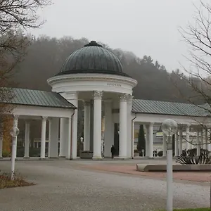 Apartmán Karlovarská, Mariánské Lázně